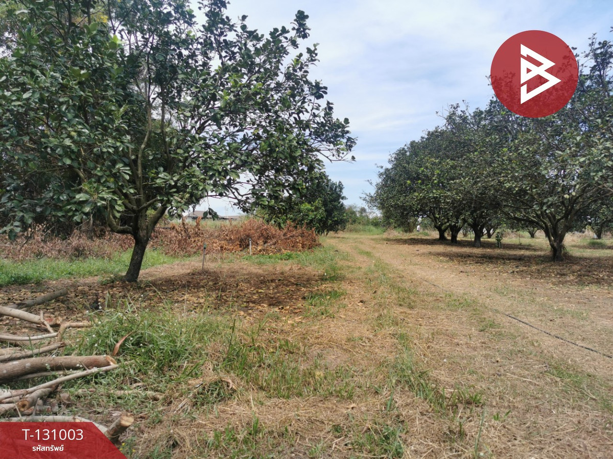 ขายที่ดิน เนื้อที่ 5 ไร่ 3 งาน 77 ตร.วา ศรีมหาโพธิ ปราจีนบุรี