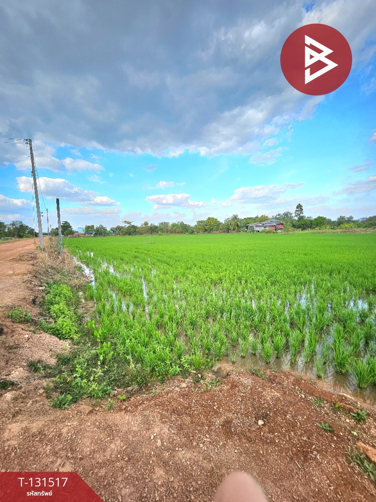 ขายที่ดิน เนื้อที่ 2 ไร่ 90 ตร.วา ปากพลี นครนายก