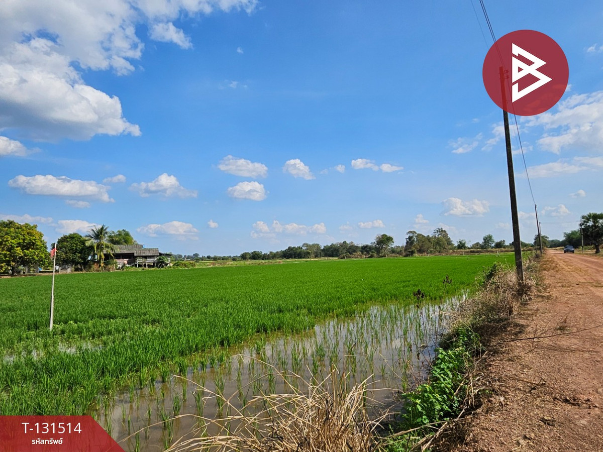 ขายที่ดิน เนื้อที่ 6 ไร่ 90 ตร.วา ปากพลี นครนายก