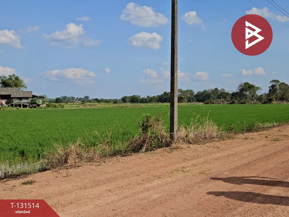 ขายที่ดิน เนื้อที่ 6 ไร่ 90 ตร.วา ปากพลี นครนายก