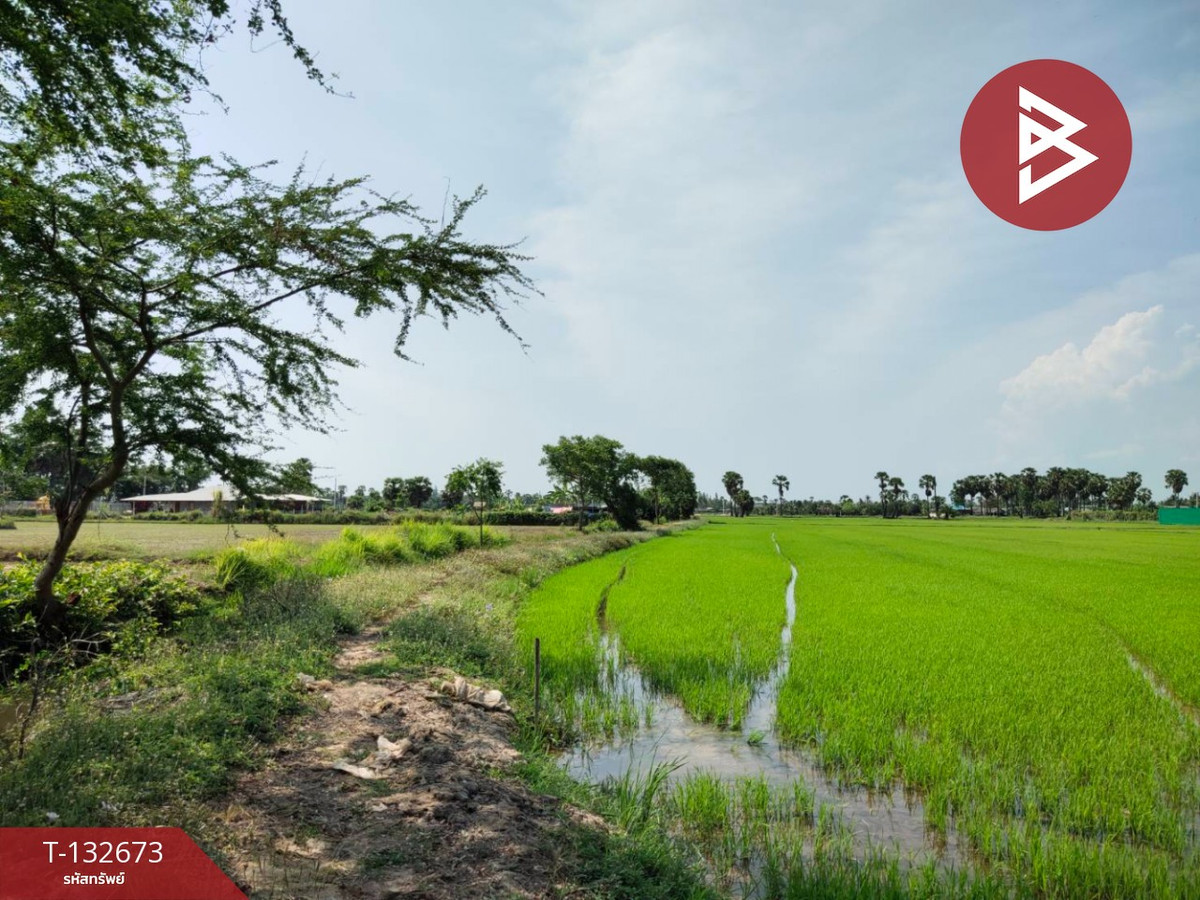 ขายที่ดิน เนื้อที่ 2 ไร่ หนองขนาน เพชรบุรี ที่ดินผืนใหญ่
