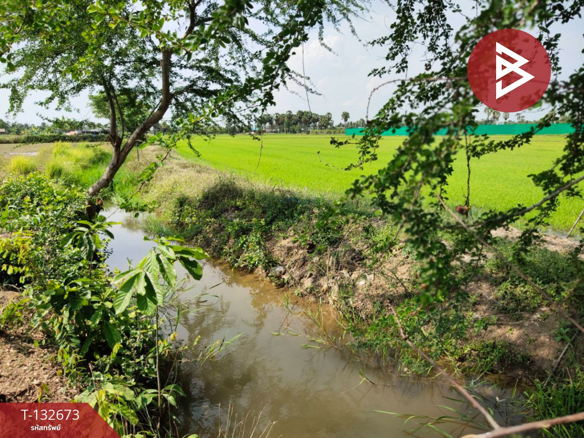 ขายที่ดิน เนื้อที่ 2 ไร่ หนองขนาน เพชรบุรี ที่ดินผืนใหญ่