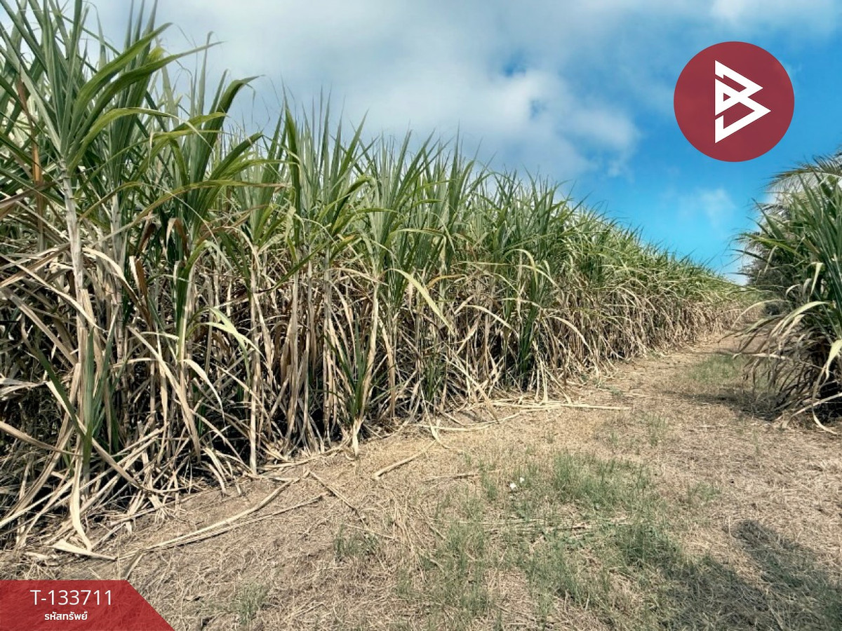 ขายที่ดินพร้อมสิ่งปลูกสร้าง เนื้อที่ 14 ไร่ 3 งาน 44 ตร.วา โพธาราม ราชบุรี