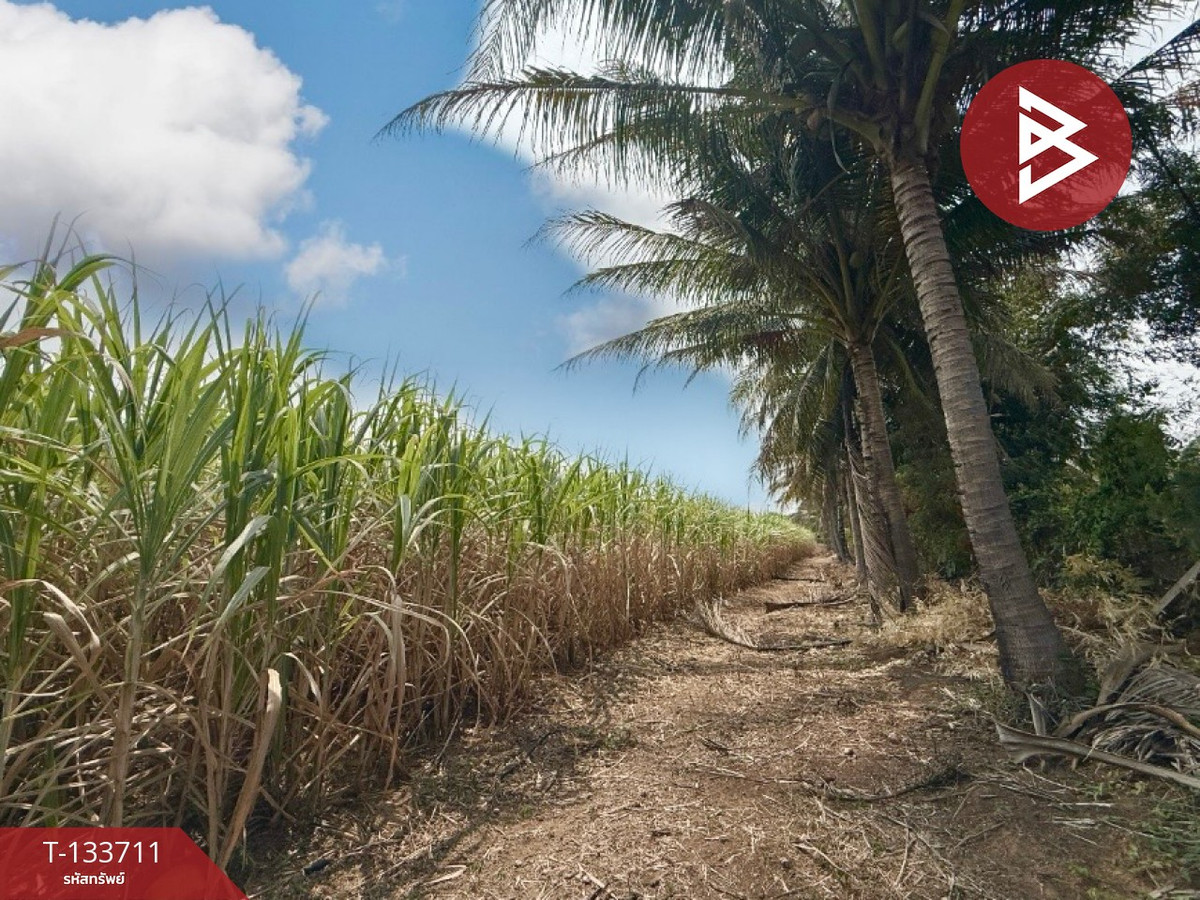 ขายที่ดินพร้อมสิ่งปลูกสร้าง เนื้อที่ 14 ไร่ 3 งาน 44 ตร.วา โพธาราม ราชบุรี