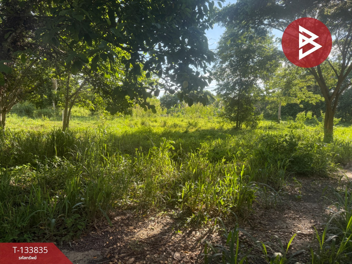 ขายที่ดิน เนื้อที่ 1 งาน 38.7 ตารางวา หนองแหย่ง สันทราย เชียงใหม่