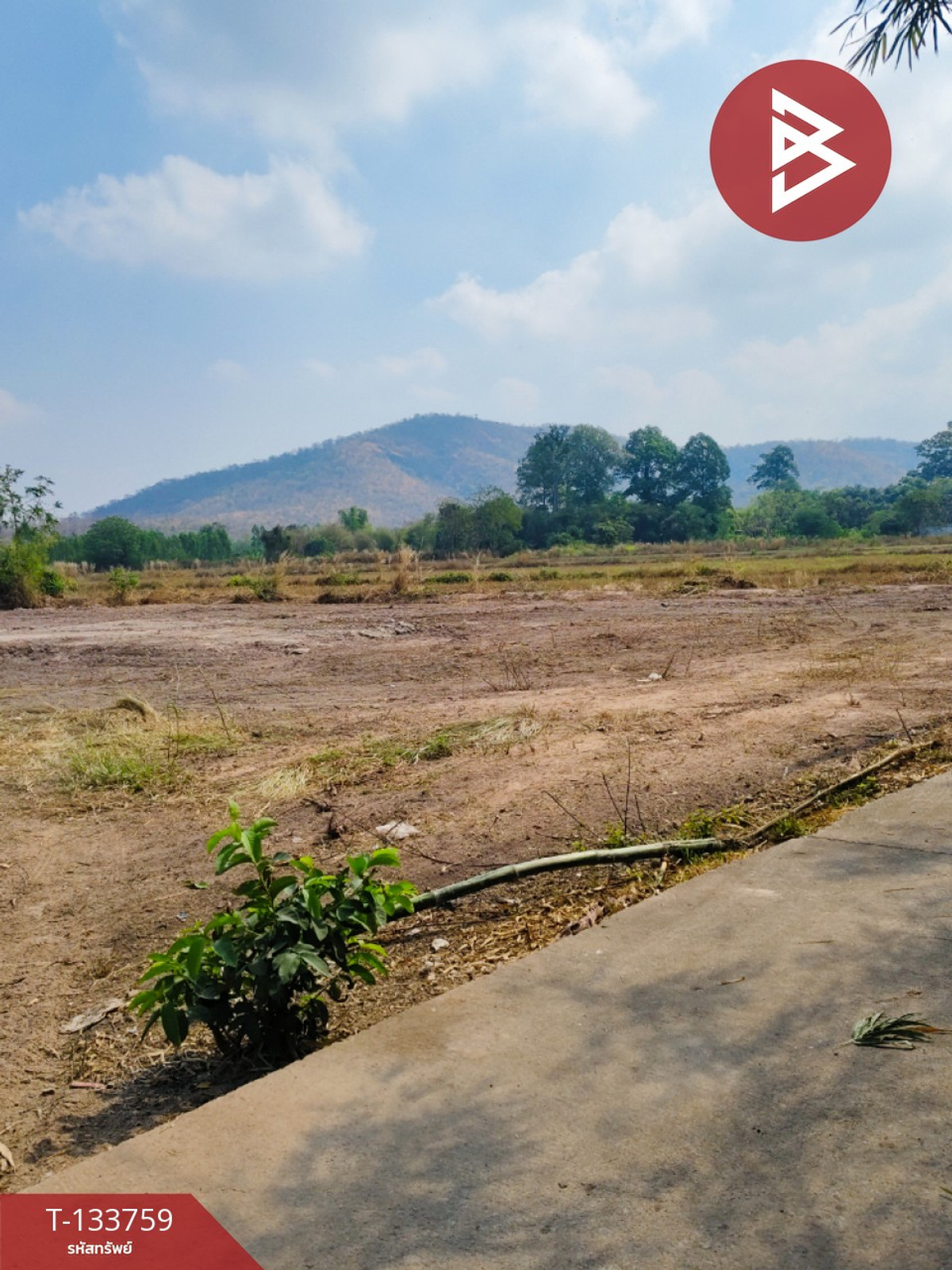 ขายที่ดิน เนื้อที่ 2 ไร่ 3 งาน หนองปลาไหล สระบุรี