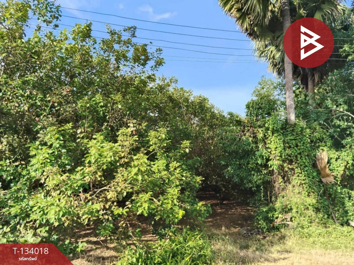 ขายที่ดินสวนเงาะ เนื้อที่ 5 ไร่ 3 งาน 41 ตารางวา อ.ชะอวด นครศรีธรรมราช ติดถนนสาธารณะประโยชน์