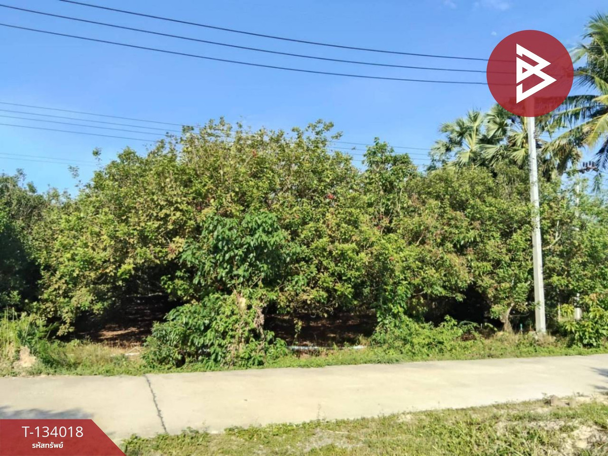 ขายที่ดินสวนเงาะ เนื้อที่ 5 ไร่ 3 งาน 41 ตารางวา อ.ชะอวด นครศรีธรรมราช ติดถนนสาธารณะประโยชน์