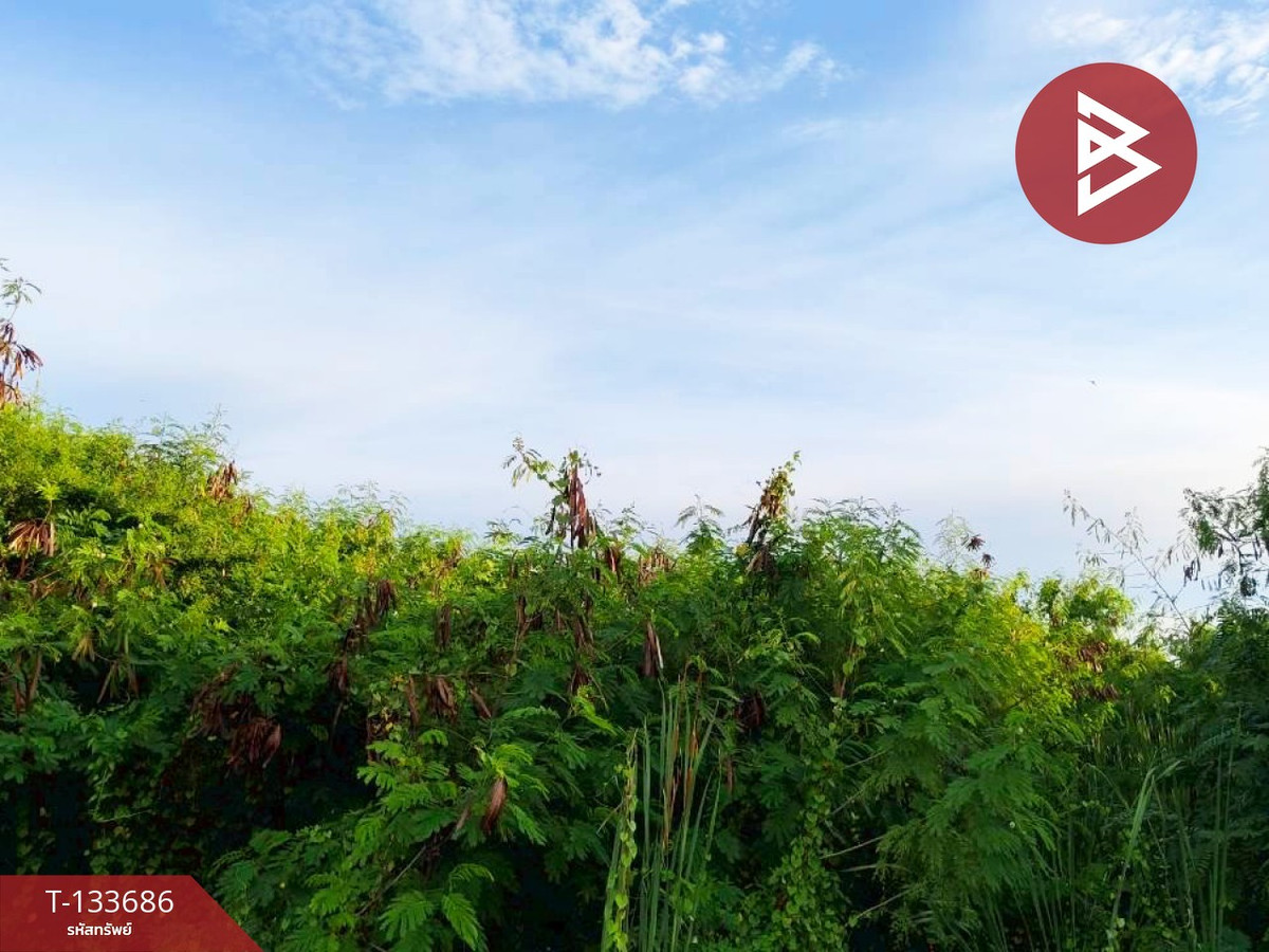 ขายที่ดิน เนื้อที่ 2 ไร่ 2 งาน กระทุ่มแบน สมุทรสาคร