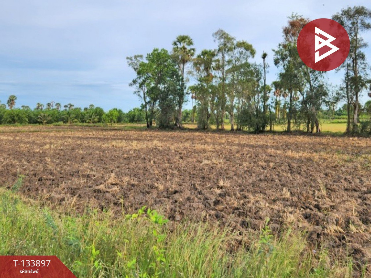 ขายที่ดิน เนื้อที่ 7 ไร่ 88 ตารางวา อำเภอระโนด สงขลา