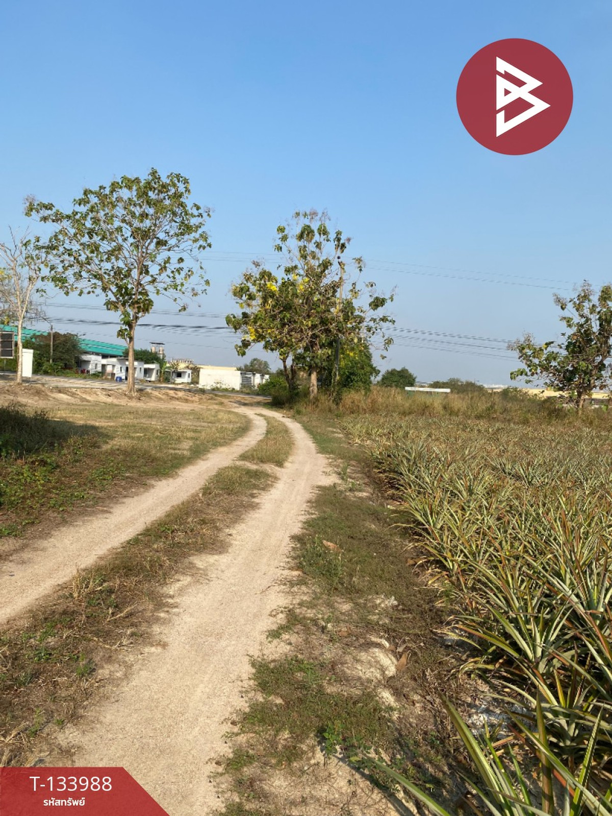 ขายที่ดิน เนื้อที่ 7 ไร่ นิคมพัฒนา ระยอง