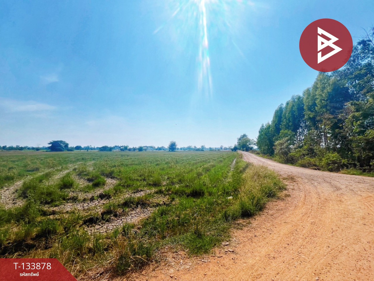 ขายที่ดิน เนื้อที่ 8 ไร่ 2 งาน 62 ตร.วา สรรพยา ชัยนาท