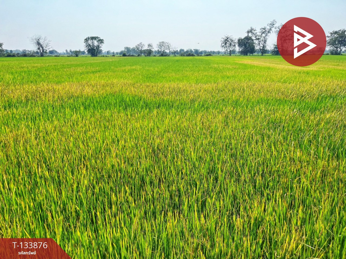 ขายที่ดิน เนื้อที่ 6 ไร่ สรรพยา ชัยนาท