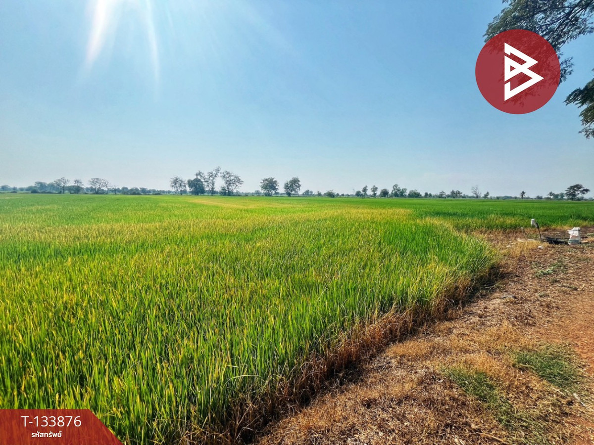 ขายที่ดิน เนื้อที่ 6 ไร่ สรรพยา ชัยนาท