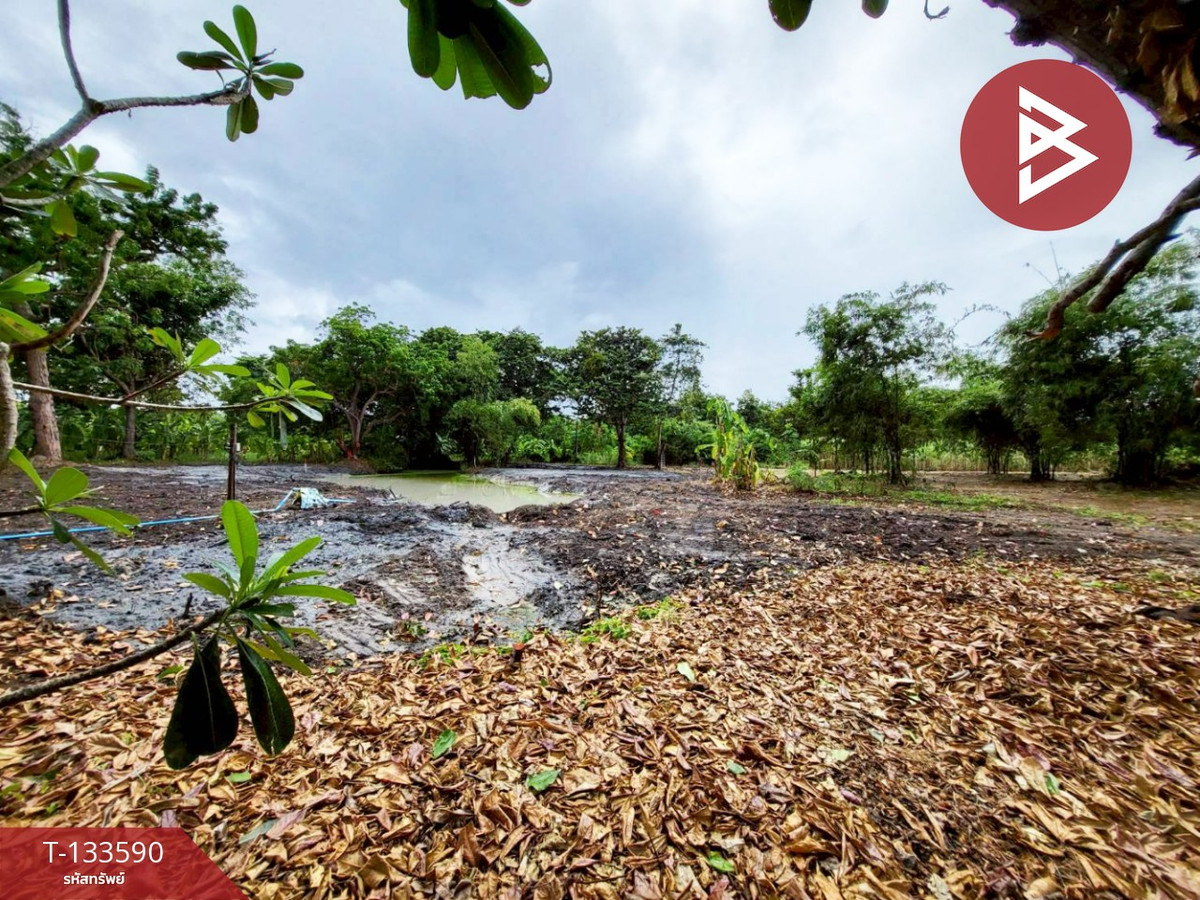 ขายที่ดิน เนื้อที่ 1 ไร่ 51.9 ตารางวา บ้านฉาง ระยอง ติดหาดน้ำริน