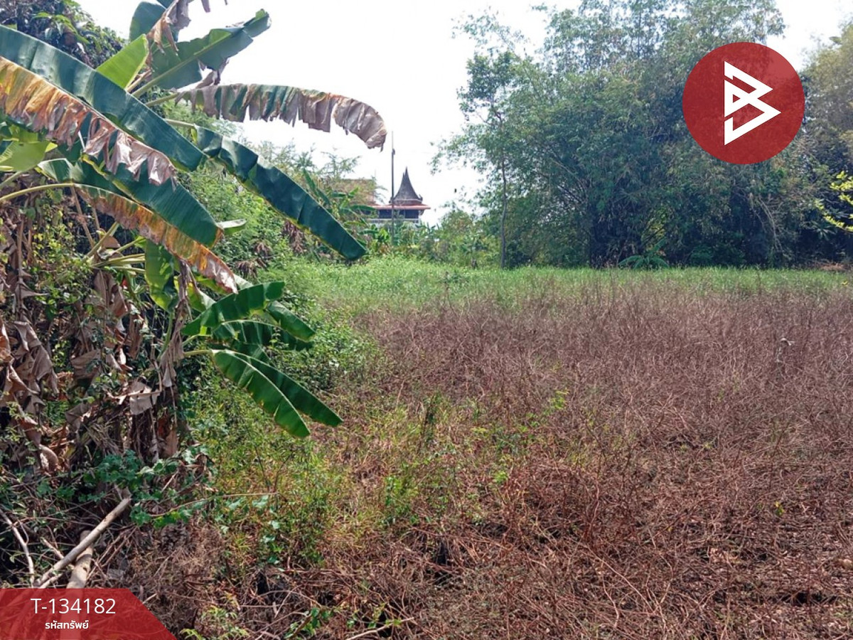 ขายที่ดิน เนื้อที่ 2 ไร่ 2 งาน 31 ตร.วา แหลมสิงห์ จันทบุรี