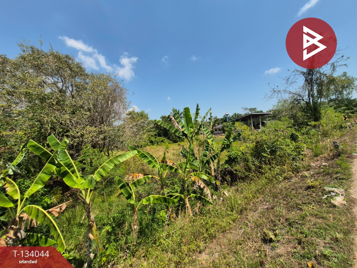 ขายที่ดินเปล่า เนื้อที่ 1 ไร่ อ.พุนพิน สุราษฎร์ธานี อยู่ใกล้กองบิน 7 สนามบิน