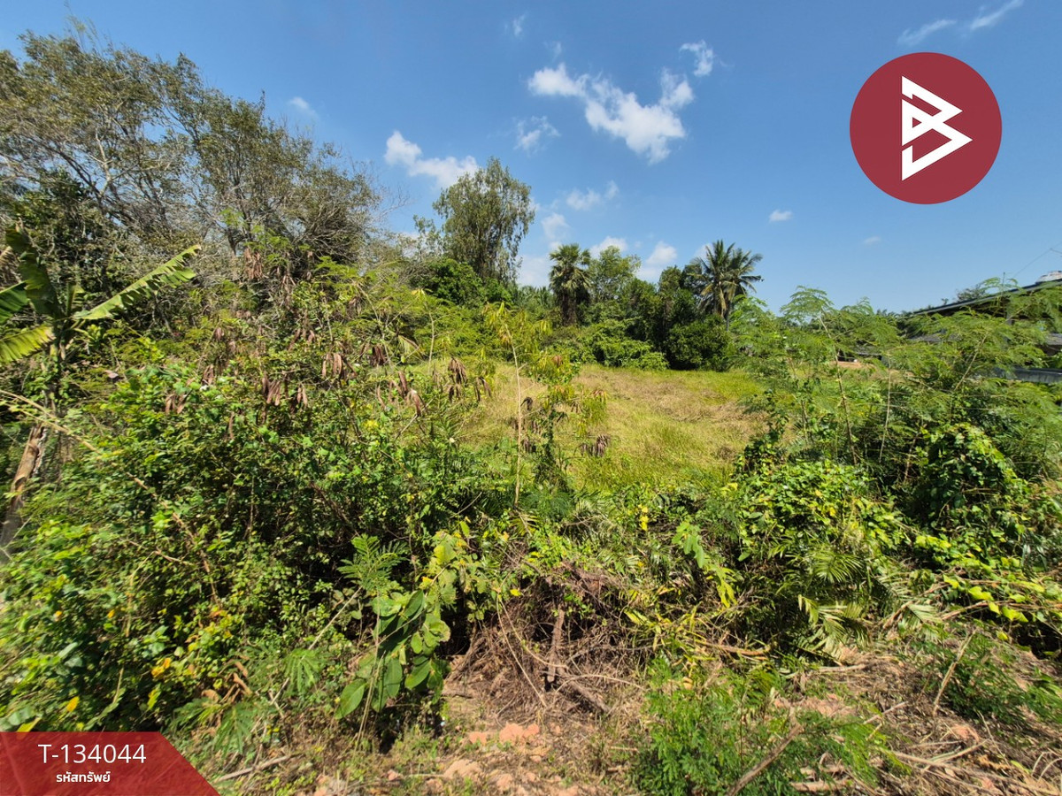ขายที่ดินเปล่า เนื้อที่ 1 ไร่ อ.พุนพิน สุราษฎร์ธานี อยู่ใกล้กองบิน 7 สนามบิน