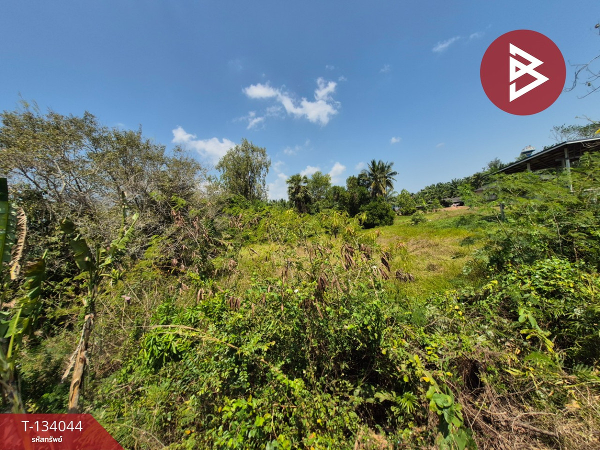 ขายที่ดินเปล่า เนื้อที่ 1 ไร่ อ.พุนพิน สุราษฎร์ธานี อยู่ใกล้กองบิน 7 สนามบิน