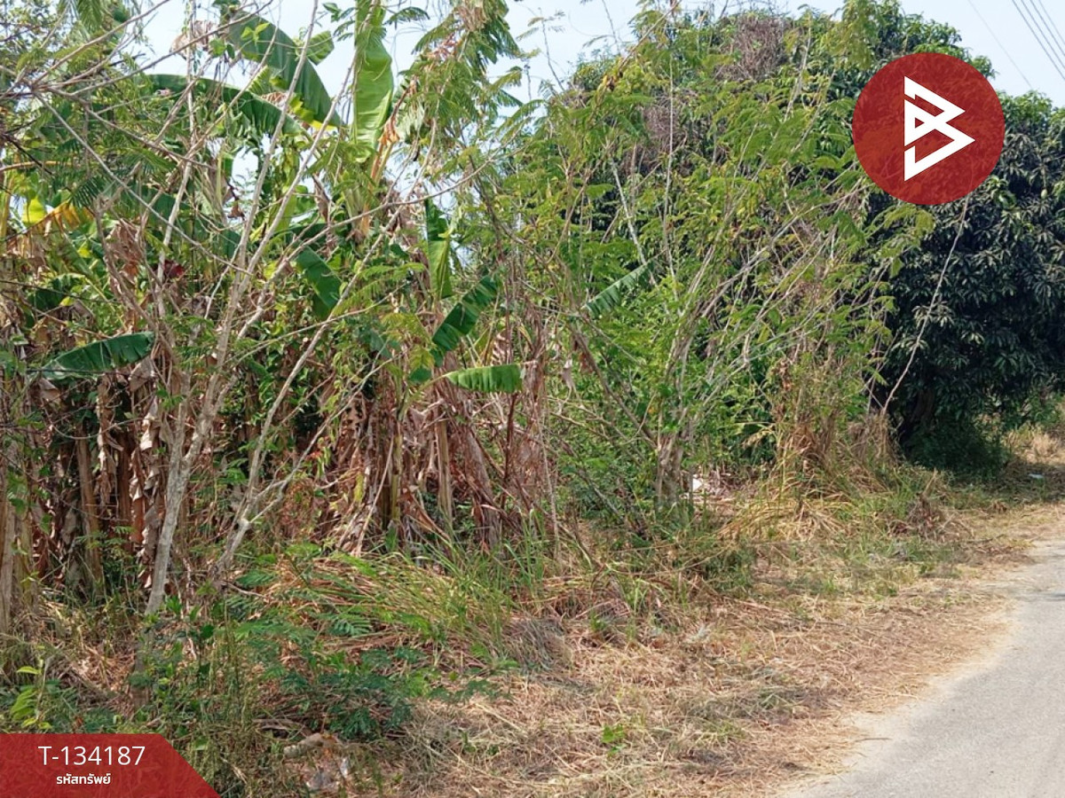 ขายที่ดิน เนื้อที่ 2 งาน 84 ตร.วา แหลมสิงห์ จันทบุรี