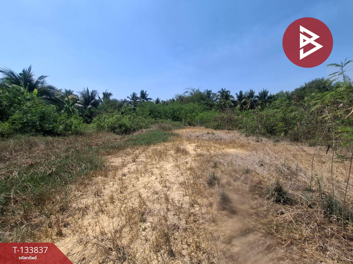 ขายที่ดิน เนื้อที่ 1 งาน 20 ตร.วา คูบัว ราชบุรี