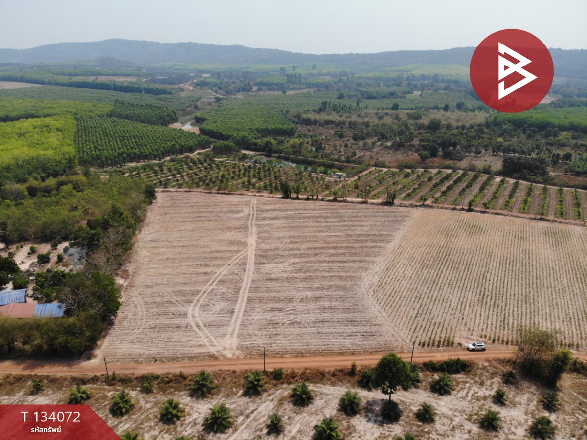 ขายที่ดิน เนื้อที่ 11 ไร่ นาดี ปราจีนบุรี