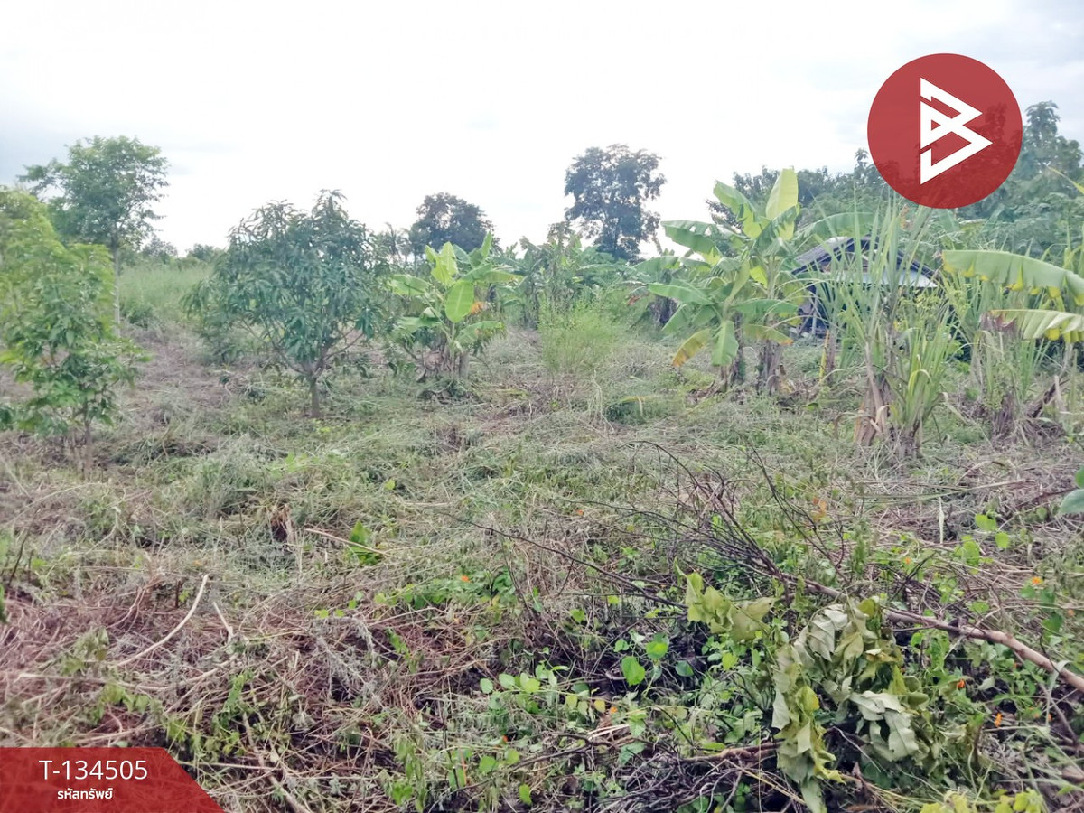 ขายที่ดิน เนื้อที่ 1 ไร่ ท่าม่วง กาญจนบุรี