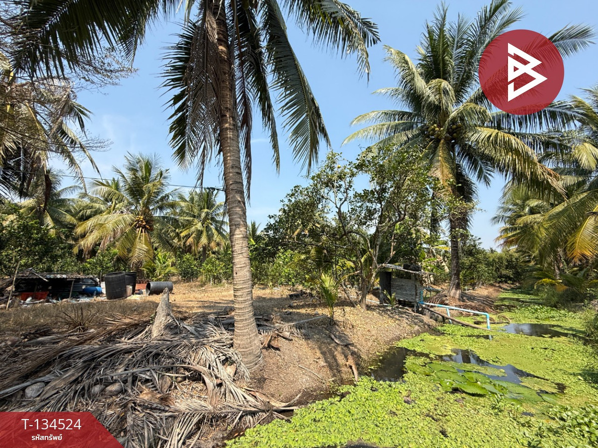 ขายที่ดิน เนื้อที่ 3 ไร่ 3 งาน 1 ตร.วา อัมพวา สมุทรสงคราม