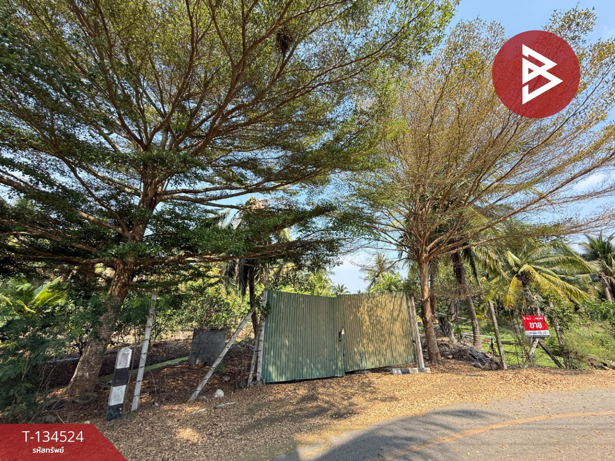 ขายที่ดิน เนื้อที่ 3 ไร่ 3 งาน 1 ตร.วา อัมพวา สมุทรสงคราม