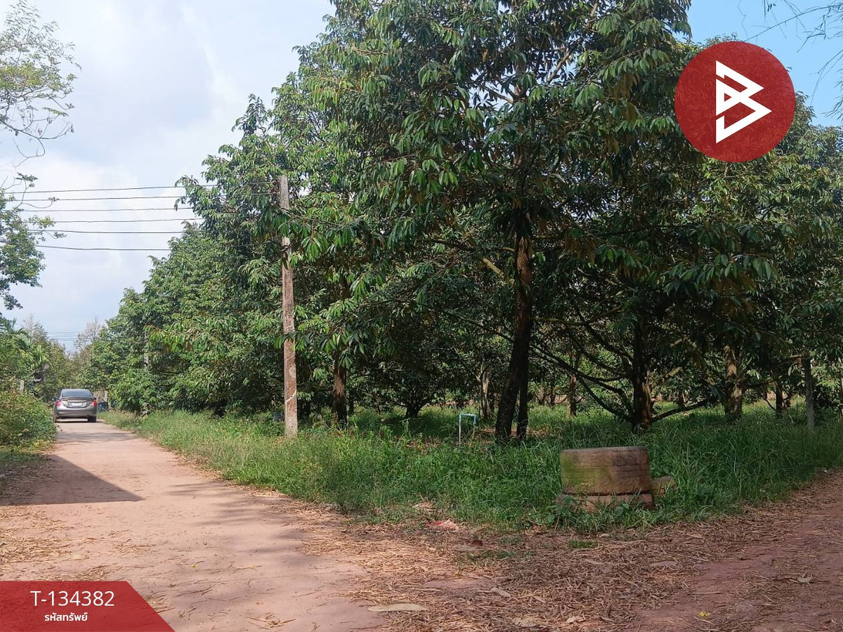 ขายที่ดินสวนทุเรียน เนื้อที่ 1 ไร่ 1 งาน 30 ตารางวา แกลง ระยอง