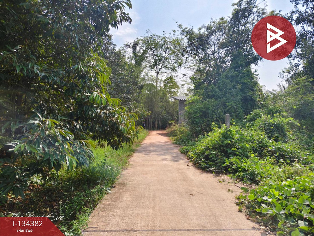 ขายที่ดินสวนทุเรียน เนื้อที่ 1 ไร่ 1 งาน 30 ตารางวา แกลง ระยอง