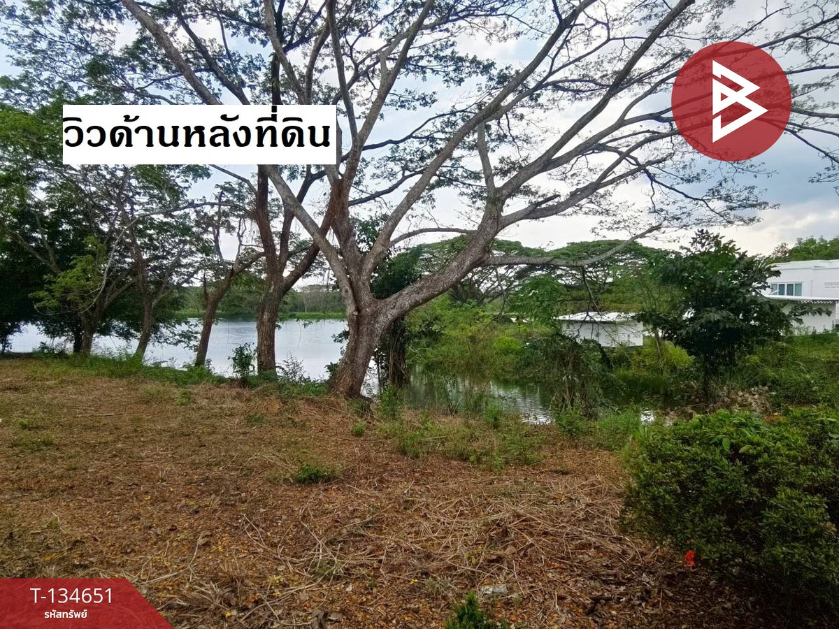 ขายที่ดิน เนื้อที่ 1 ไร่ 75 ตร.วา แก่งหางแมว จันทบุรี