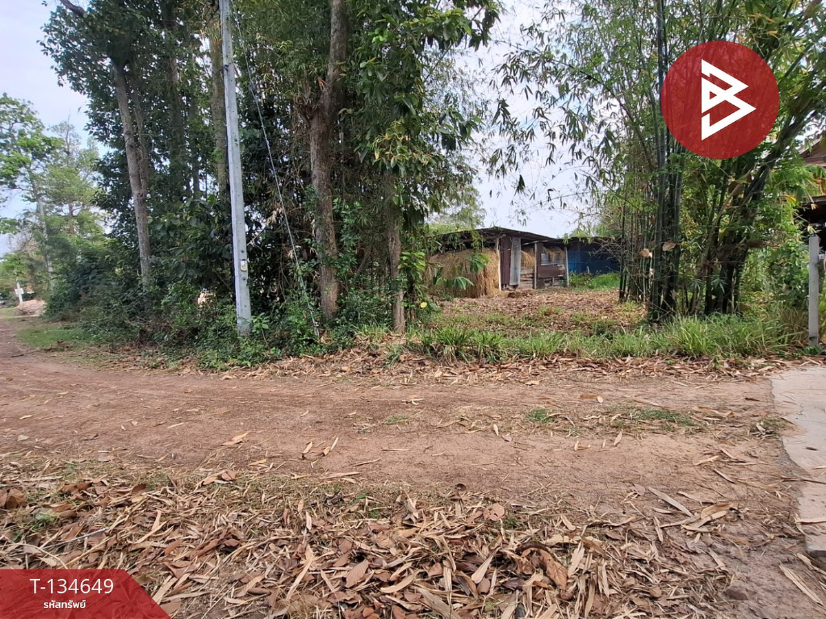 ขายบ้านเดี่ยวพร้อมที่ดิน เนื้อที่ 12 ไร่ 49 ตร.วา โนนตาล ร้อยเอ็ด