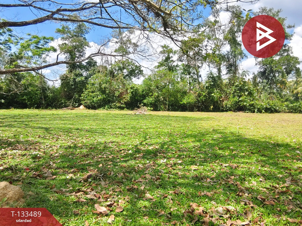 ขายที่ดิน เนื้อที่ 1 ไร่ 2 งาน 50 ตร.วา จุฬาภรณ์ นครศรีธรรมราช