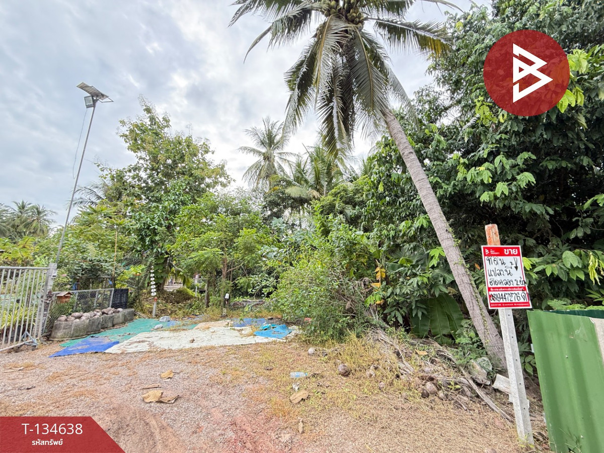 ขายที่ดิน เนื้อที่ 3 งาน บางคนที สมุทรสงคราม