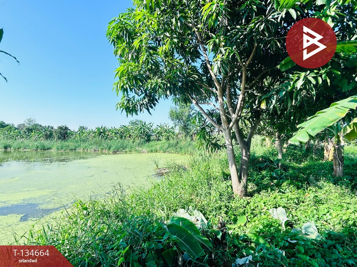 ขายที่ดิน เนื้อที่ 3 งาน 60 ตร.วา มีนบุรี กรุงเทพมหานคร