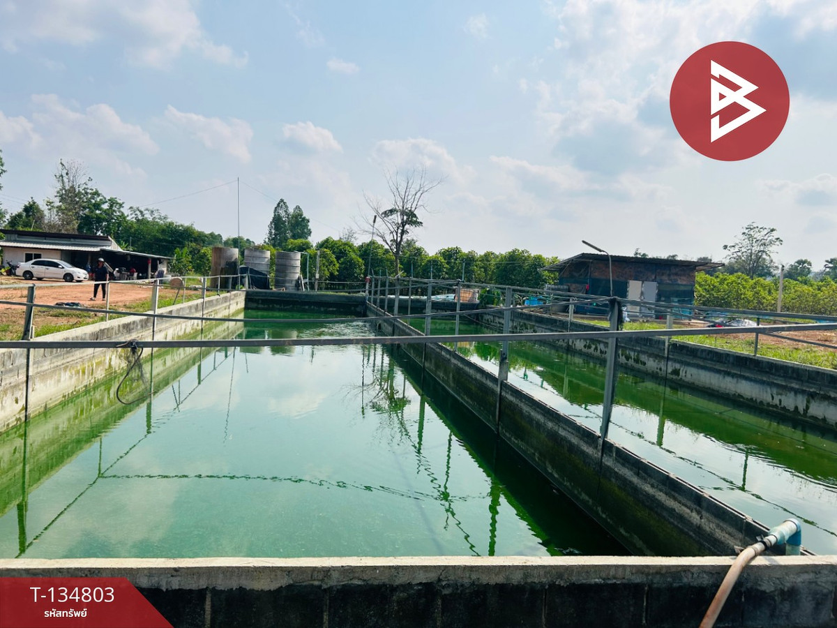 ขายที่ดินพร้อมบ่อปลาดุก เนื้อที่ 35 ไร่ 2 งาน 45.1 ตารางวา สว่างอารมณ์ อุทัยธานี