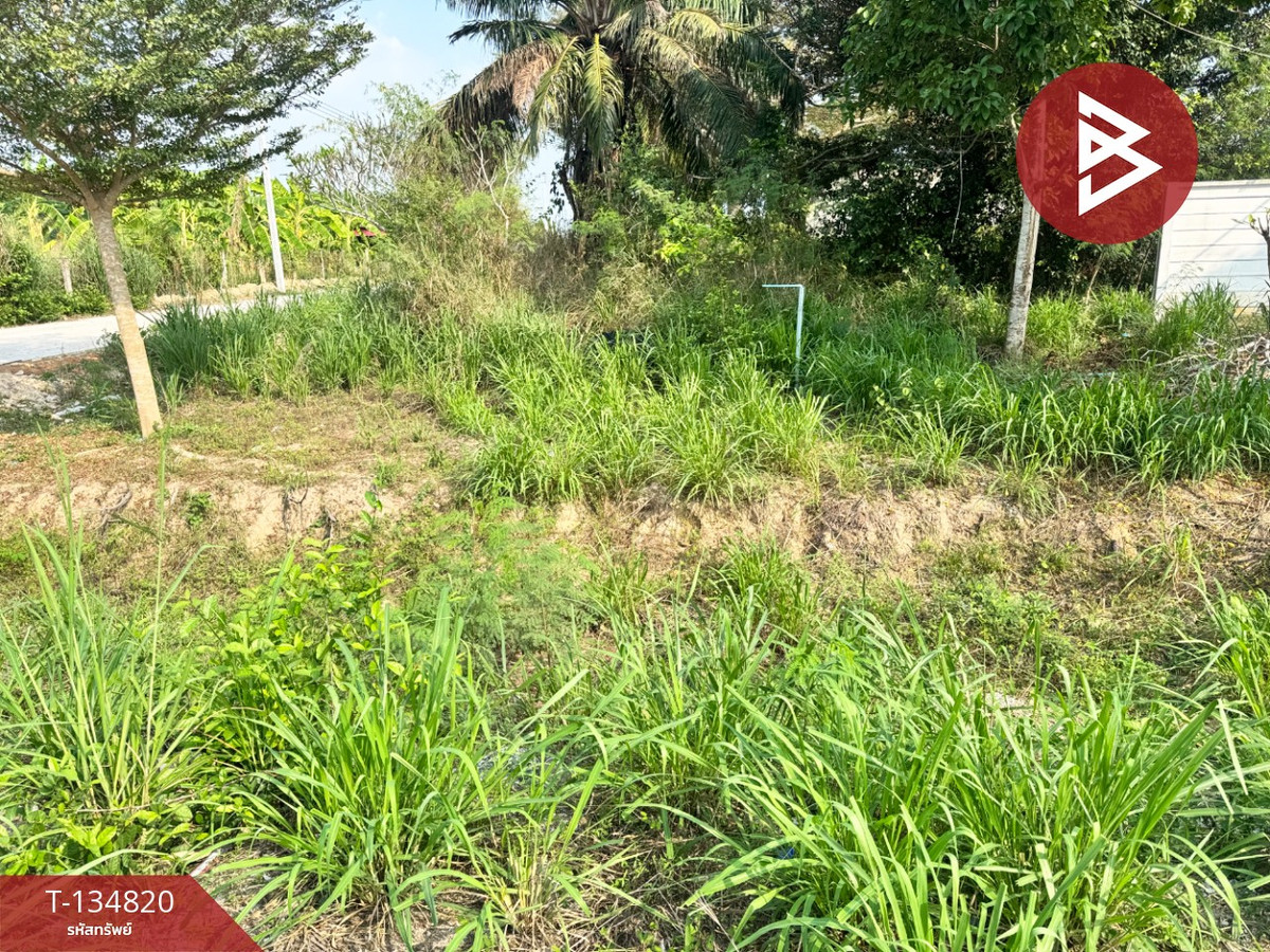 ขายที่ดิน เนื้อที่ 2 ไร่ 3 งาน 93.5 ตร.วา นิคมพัฒนา ระยอง