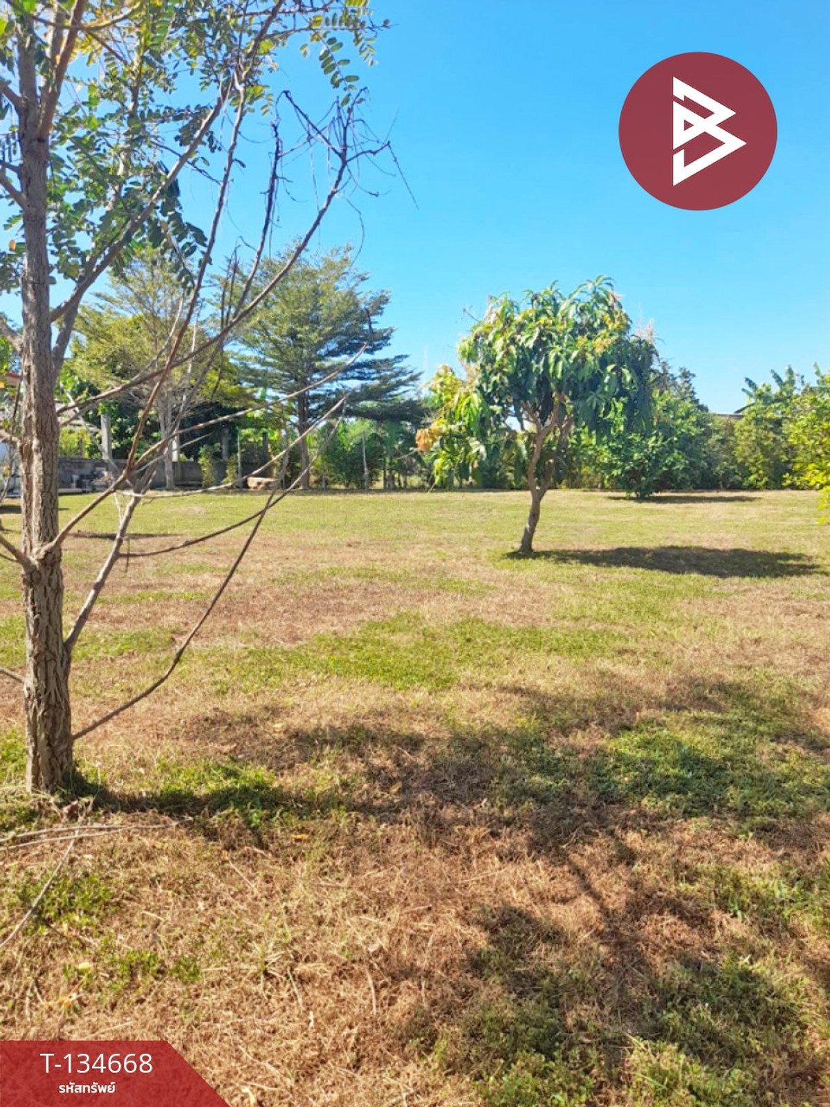 ขายที่ดิน เนื้อที่ 106.2 ตารางวา ต.เพ ระยอง