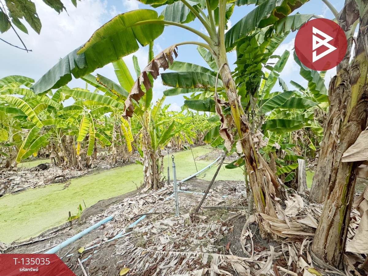 ขายที่ดิน เนื้อที่ 1 ไร่ 1 งาน 4.5 ตร.วา ทวีวัฒนา กรุงเทพมหานคร