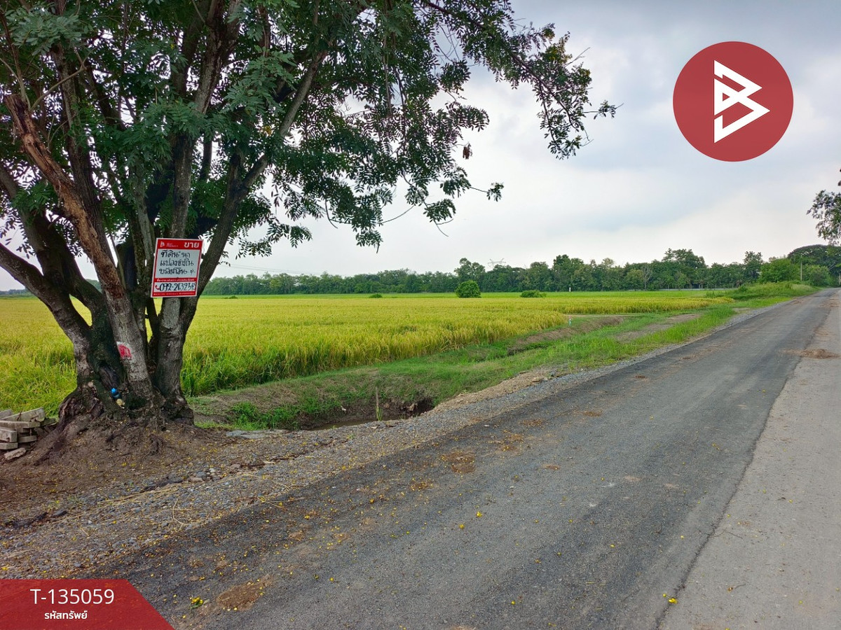 ขายที่ดิน เนื้อที่ 1 งาน หนองเสือ ปทุมธานี