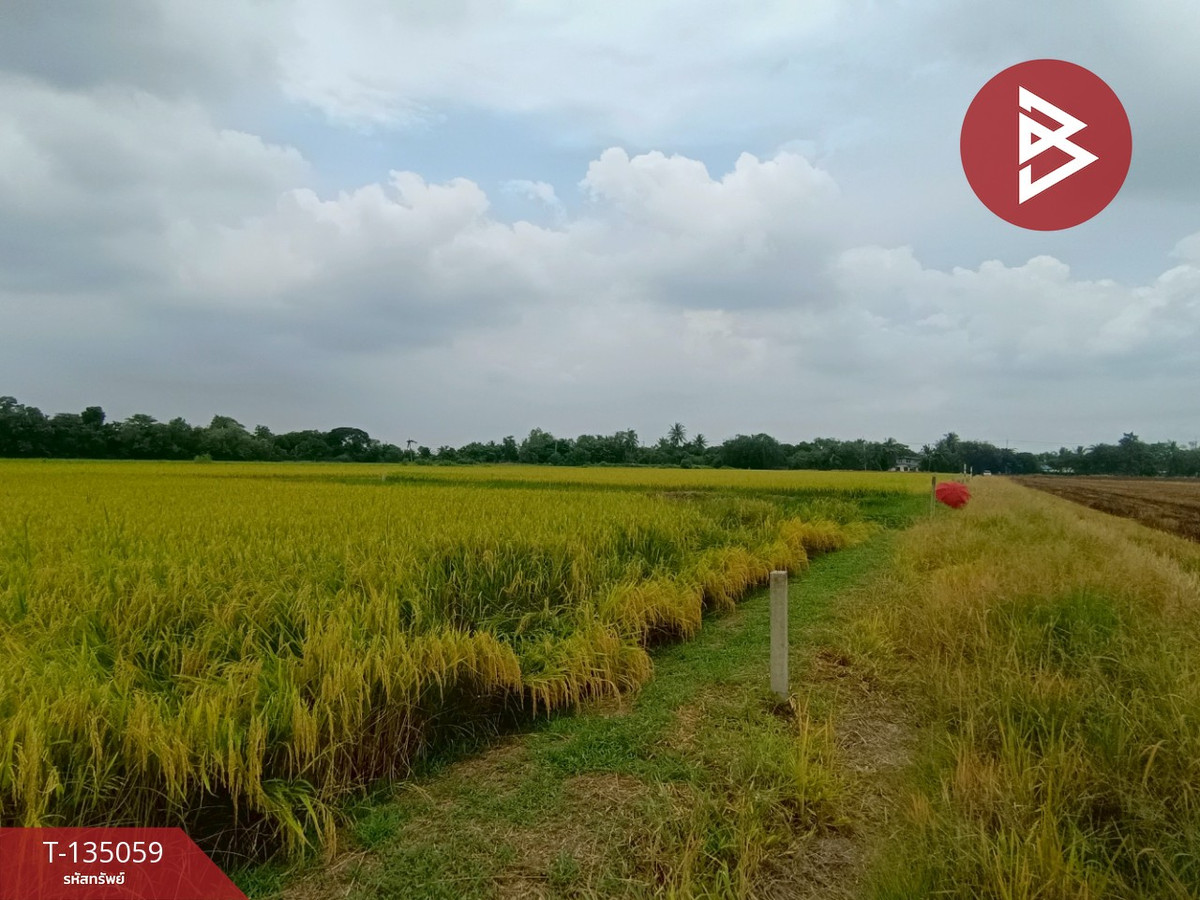 ขายที่ดิน เนื้อที่ 1 งาน หนองเสือ ปทุมธานี