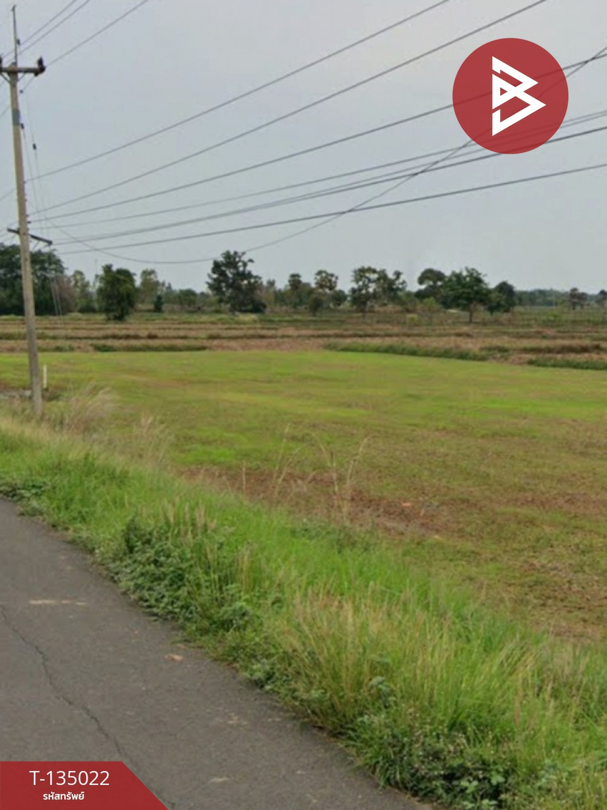 ขายด่วน ที่ดินเปล่า 4 ไร่  ประโคนชัย บุรีรัมย์