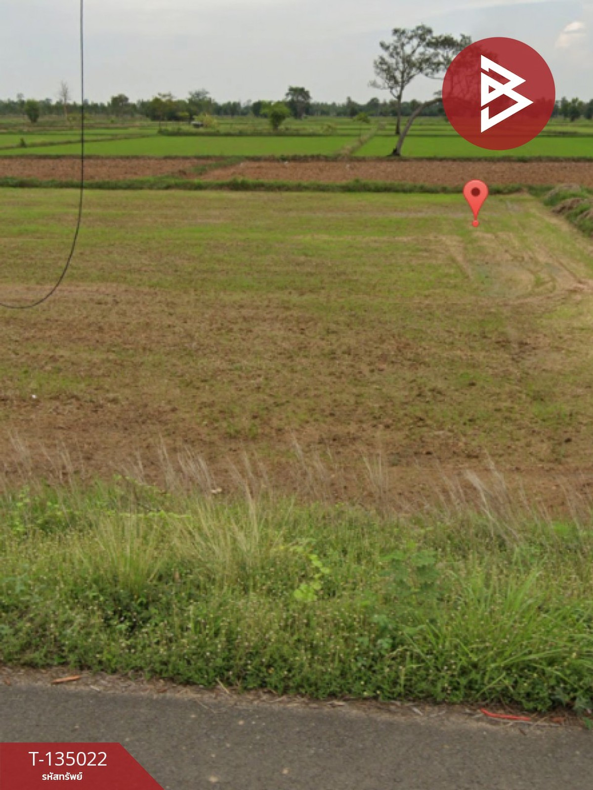 ขายด่วน ที่ดินเปล่า 4 ไร่  ประโคนชัย บุรีรัมย์