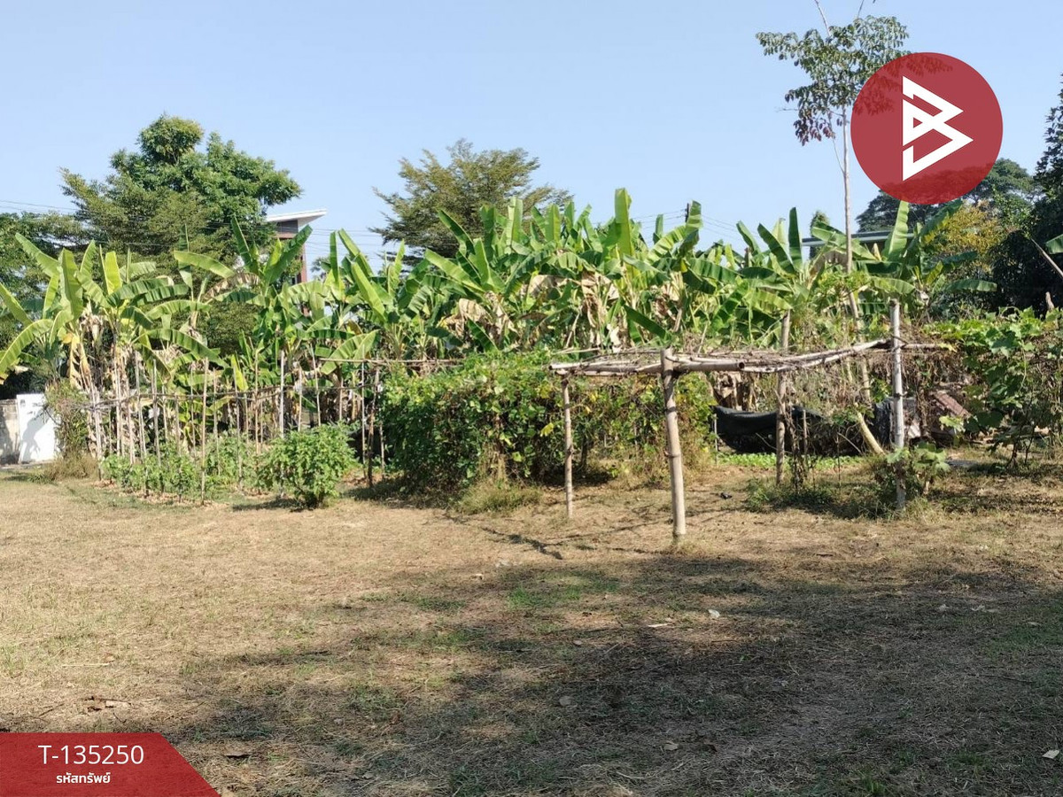 ขายที่ดิน เนื้อที่ 2 งาน 23 ตร.วา ในเมือง พิษณุโลก