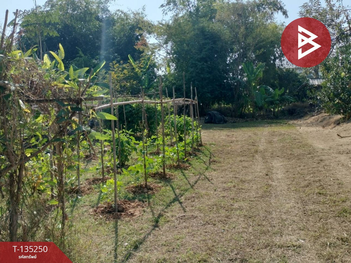 ขายที่ดิน เนื้อที่ 2 งาน 23 ตร.วา ในเมือง พิษณุโลก