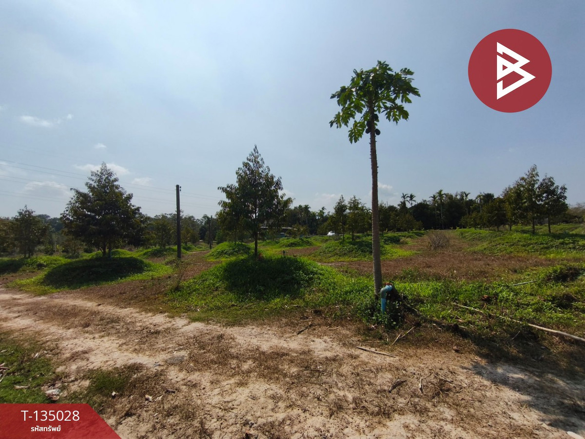 ขายที่ดินพร้อมสวนผลไม้ เนื้อที่ 18 ไร่ 1 งาน 1.8 ตารางวา แสลง จันทบุรี