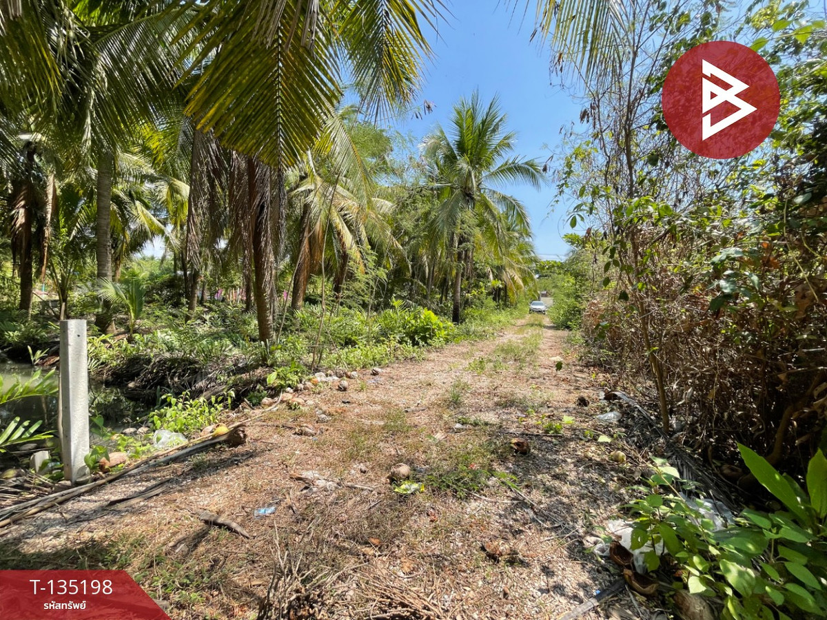 ขายที่ดิน เนื้อที่ 1 งาน 2.7 ตร.วา คลองเขิน สมุทรสงคราม