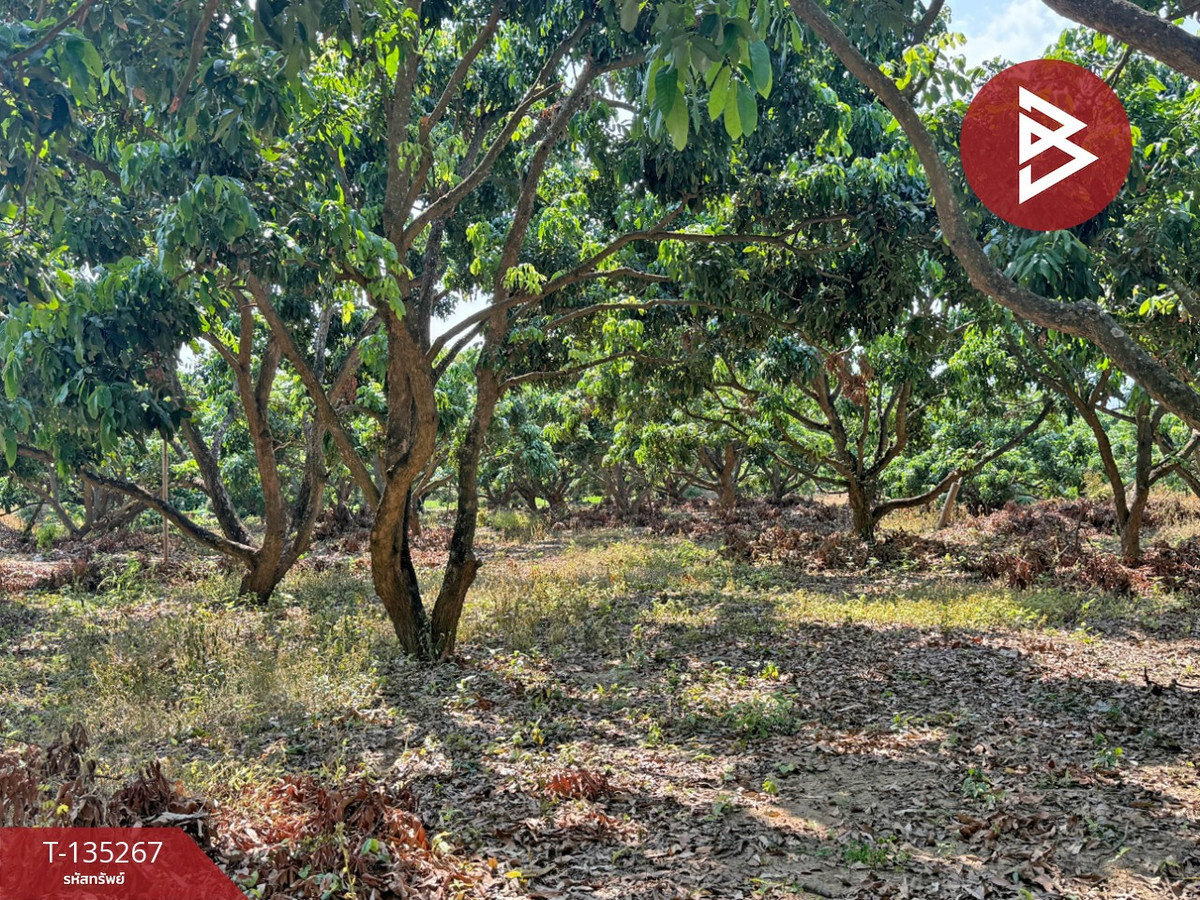 ขายที่ดิน เนื้อที่ 2 งาน 23.6 ตร.วา เวียงหนองล่อง ลำพูน