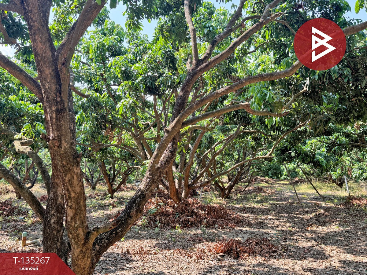 ขายที่ดิน เนื้อที่ 2 งาน 23.6 ตร.วา เวียงหนองล่อง ลำพูน